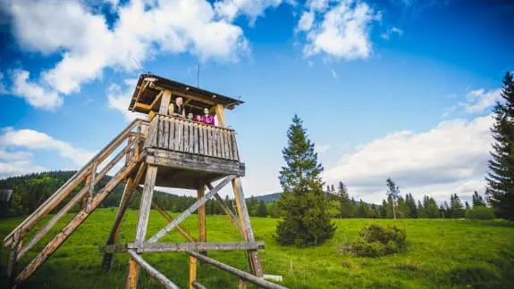 Orava Castle