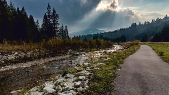 A field road by the stream