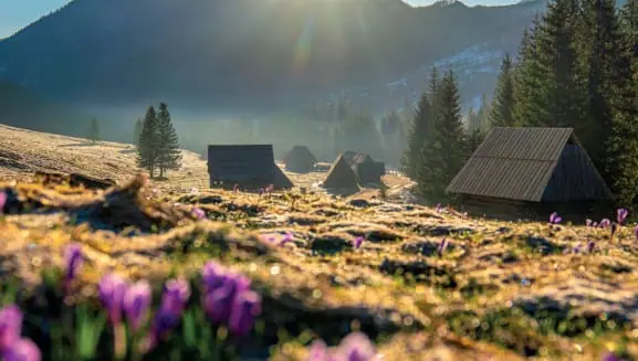 Mountain meadow and rural buildings