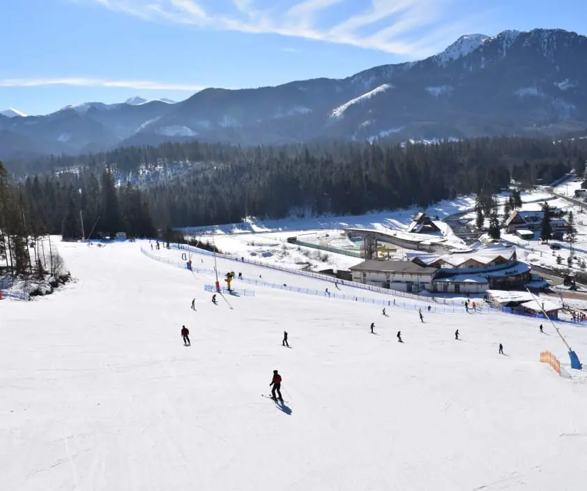Snowboardista