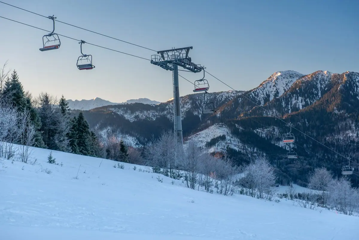 Skier