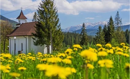 Widok kościoła z mleczami