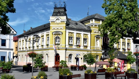 Zabudowa miejska Twardoszyna