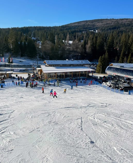 skier